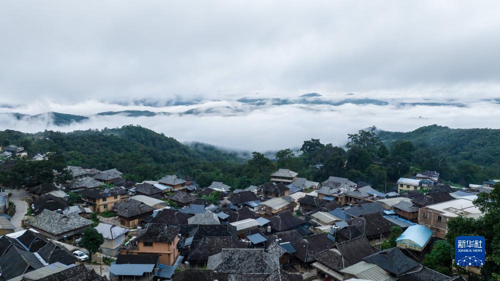 大发登录客户端